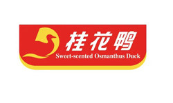 &#70;&#71;&#30005;&#23376;&#40;&#20013;&#22269;&#28216;&#41;&#23448;&#26041;&#32593;&#31449;